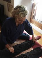 https://www.georgiafarrant.net/files/gimgs/th-113_shiatsu 1 500.jpg